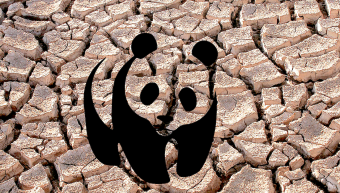 Oroszország: A WWF külföldi ügynök