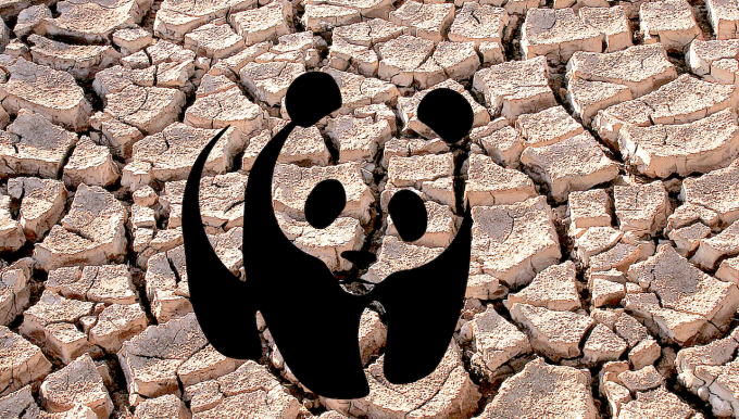 Oroszország: A WWF külföldi ügynök