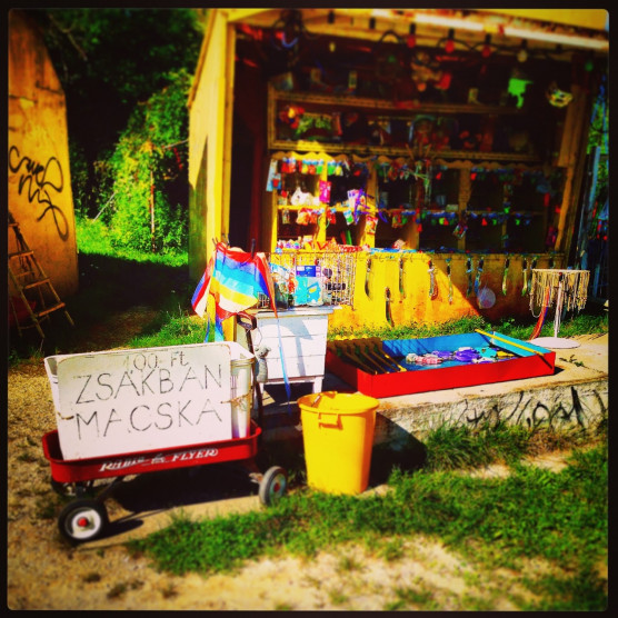 Jöjjön ki Hűvösvölgybe!