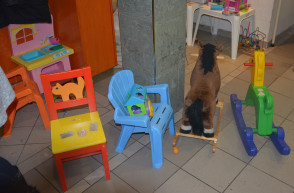 Burokban élők segítik a betegeket, és viszont