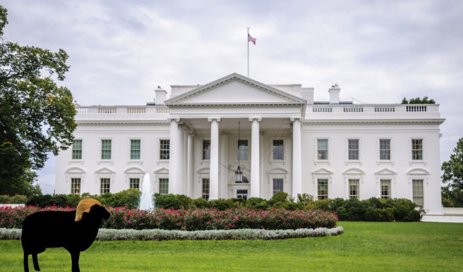 15 amerikai államban tartanak előválasztást