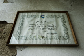 A Forte fixírsójának feledhetetlen illata