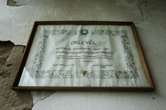 A Forte fixírsójának feledhetetlen illata