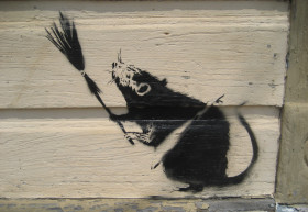 Ahány ember, annyi patkány - Megint ez lesz?