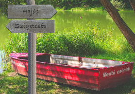 Tényleg már annak is örülni kell, ha nagypapit nem hagyják az út szélén a betegszállítók? - Gergely Zsófia jegyzete 