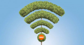 Kampány van - Herskovits Eszter jegyzete