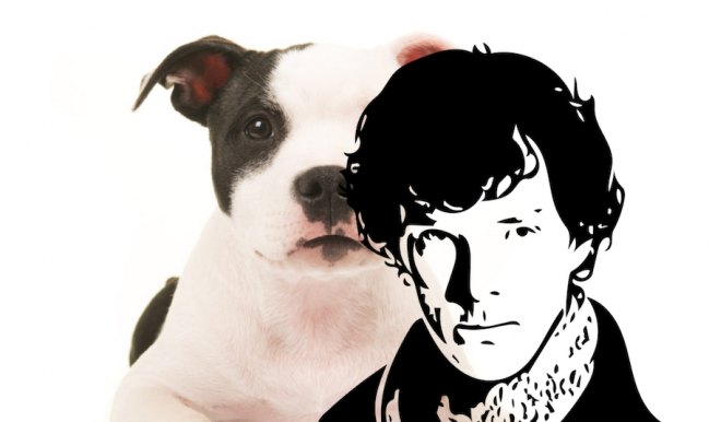 Cannes-ban debütál az új Benedict Cumberbatch-film