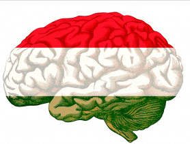 A magyar ész - Szénási Sándor jegyzete