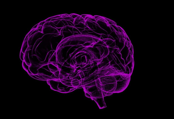 Miből lesz tartós emléknyom és miből nem? - Klubdélelőtt