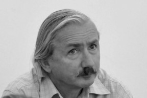 A társadalom nem rendszerváltást akart, hanem osztrák életet