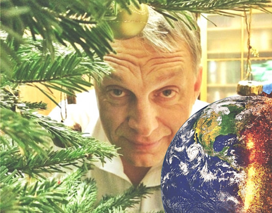 Gondolkodj globálisan, cselekedj lojálisan - Neuman Gábor jegyzete