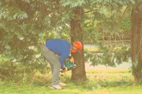 Fát vághatnak a hátunkon?