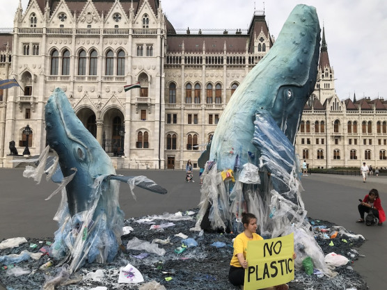 Bálnák az ország háza előtt