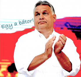 Ki a hülye, én vagy te? - Lampé Ágnes jegyzete