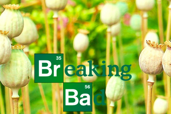 Már vezető halálozási ok az opioid okozta túladagolás