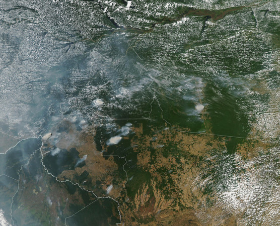 Tüzet szüntess! - Kárpáti Iván jegyzete