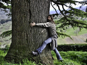 Egy jó erdőfürdő is segíthet, ha rossz passzban vagyunk