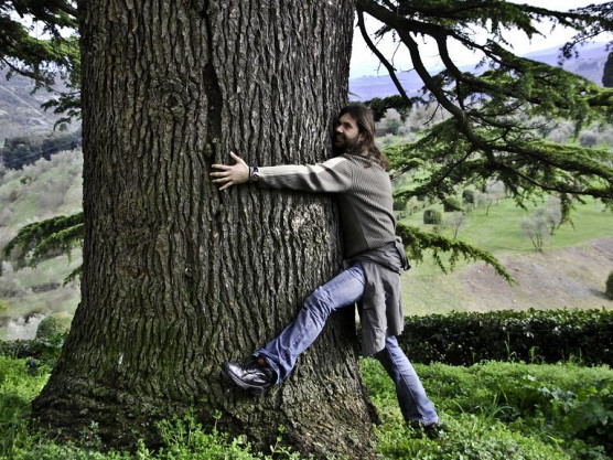 Egy jó erdőfürdő is segíthet, ha rossz passzban vagyunk