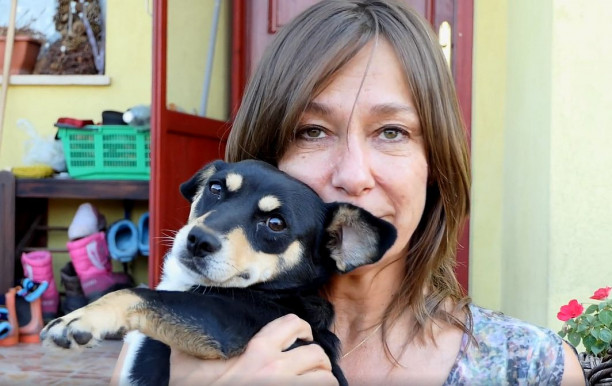 Egyedi, szerethető de kidobott kutyák filmfőszerepben