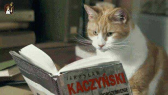 Visszatáncol Lengyelország a jogállamisági vitában 