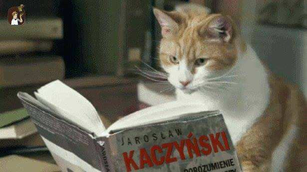 Visszatáncol Lengyelország a jogállamisági vitában 