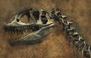 Őskövületté nyilvánítva? - Kárpáti János jegyzete