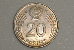 Augusztus 1.: A forint születésnapja és az anyatejes táplálás világnapja és a szoptatás világhete