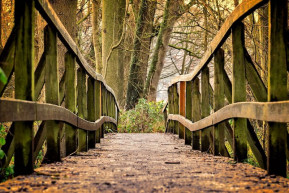 Miért kezd galoppozni egy rosszul tervezett híd?