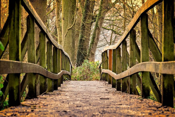 Miért kezd galoppozni egy rosszul tervezett híd?