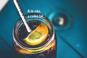 „Miért a kokain? Megvannak okaim”