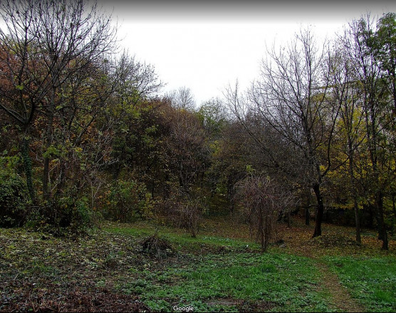 Új erdőirtás készül a II. kerület ékkövén, de nem lehet rá nemet mondani