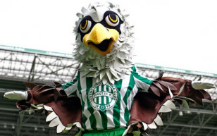 Lantos Gabriella egészségügyi szakértő óva int a Fradi-meccstől