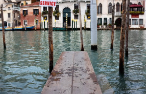 Zöld lett a víz Velencében