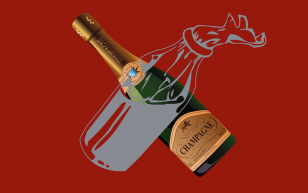 Bolgár György: Forradalom