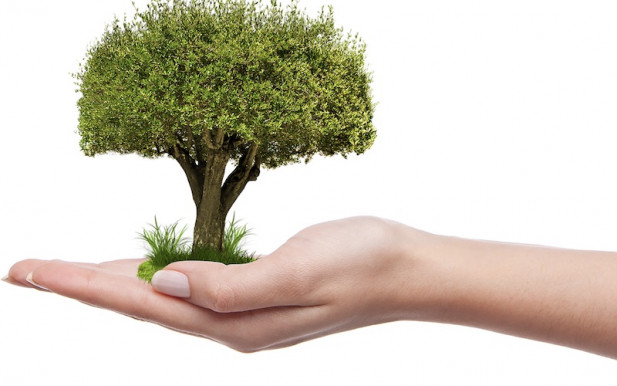 De nagyot nőttél tavaly óta - Kárpáti János jegyzete