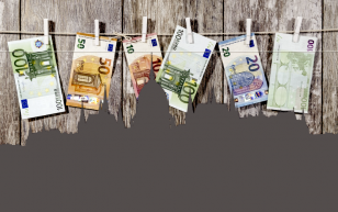 Euró: sikerrecept vagy tévút?