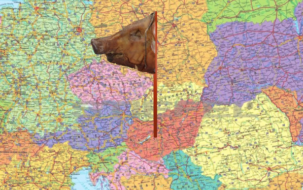 A Mészáros meg a disznó meg a zászló meg a vasút