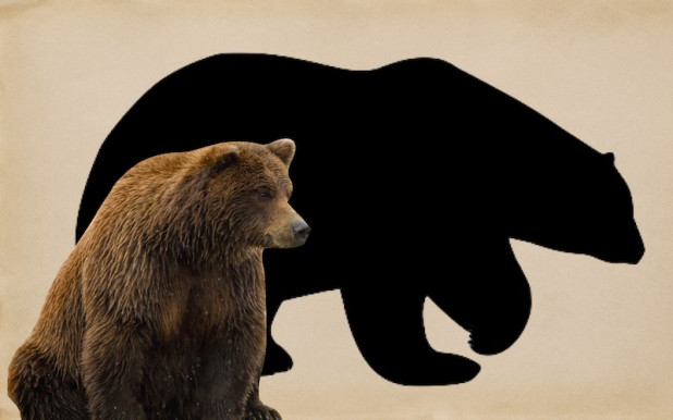 Végül meglátta az árnyékát az állatkerti medve