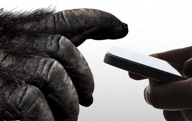 Használt mobiltelefonokkal a gorillák megmentéséért