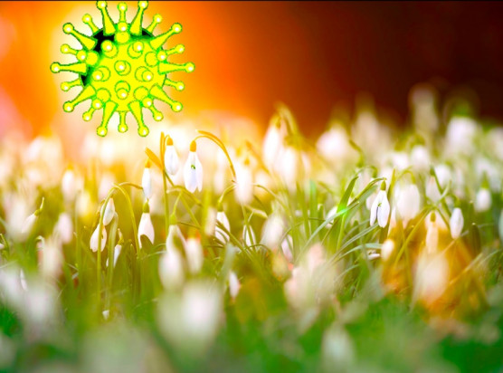 Magányos tavasz - Szénási Sándor jegyzete