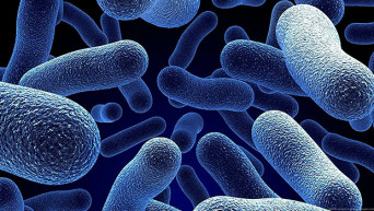 Posztbiotikumokkal az egészségért