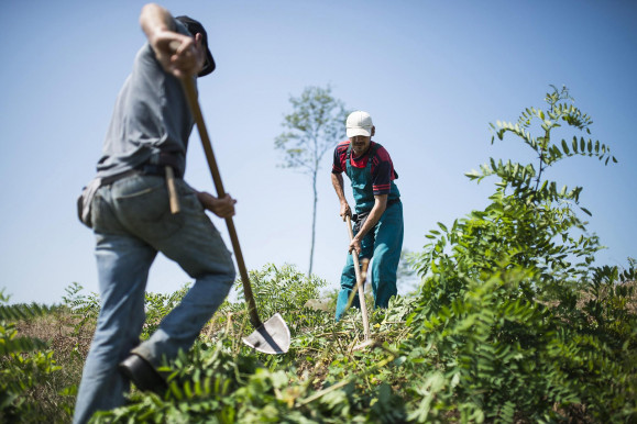 Csak közmunkával nem lehet kezelni a válságot