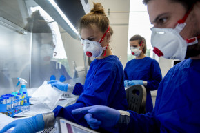 Pusztítóbb a járvány Nyugaton, mint Kelet-Európában