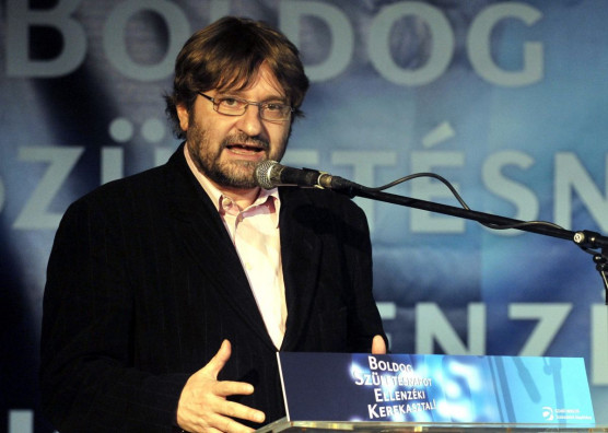 Bozóki András: Ellenzékre várva 