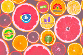 Kaltenbach: Érdekes az ellenzéki együttműködés, nem meglepő a Jobbik különutassága 