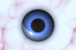 Újabb sikeres kísérletek a látáskutatásban