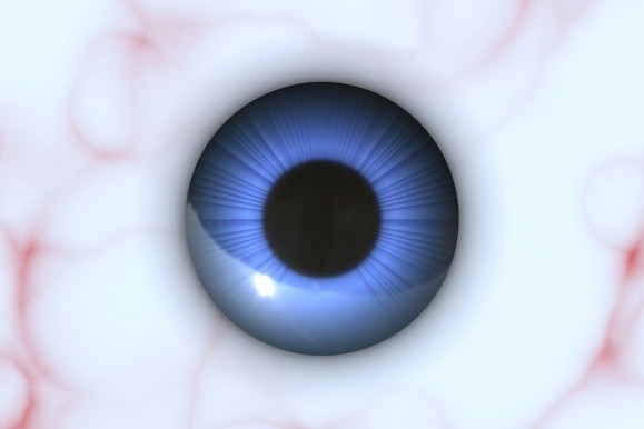 Újabb sikeres kísérletek a látáskutatásban