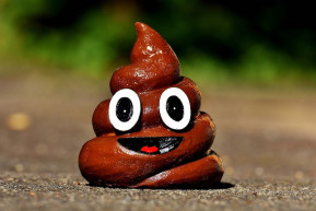 Az állam fájdalmas hiánya és léte – Selmeci János jegyzete