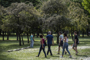 Elengedte a kormány a Hajógyári-szigetet