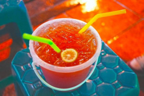 Mukkannak-e a vírusok? - Kárpáti János jegyzete